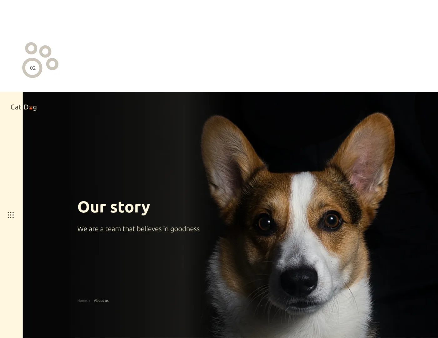 previev image for portfolio as index by 5