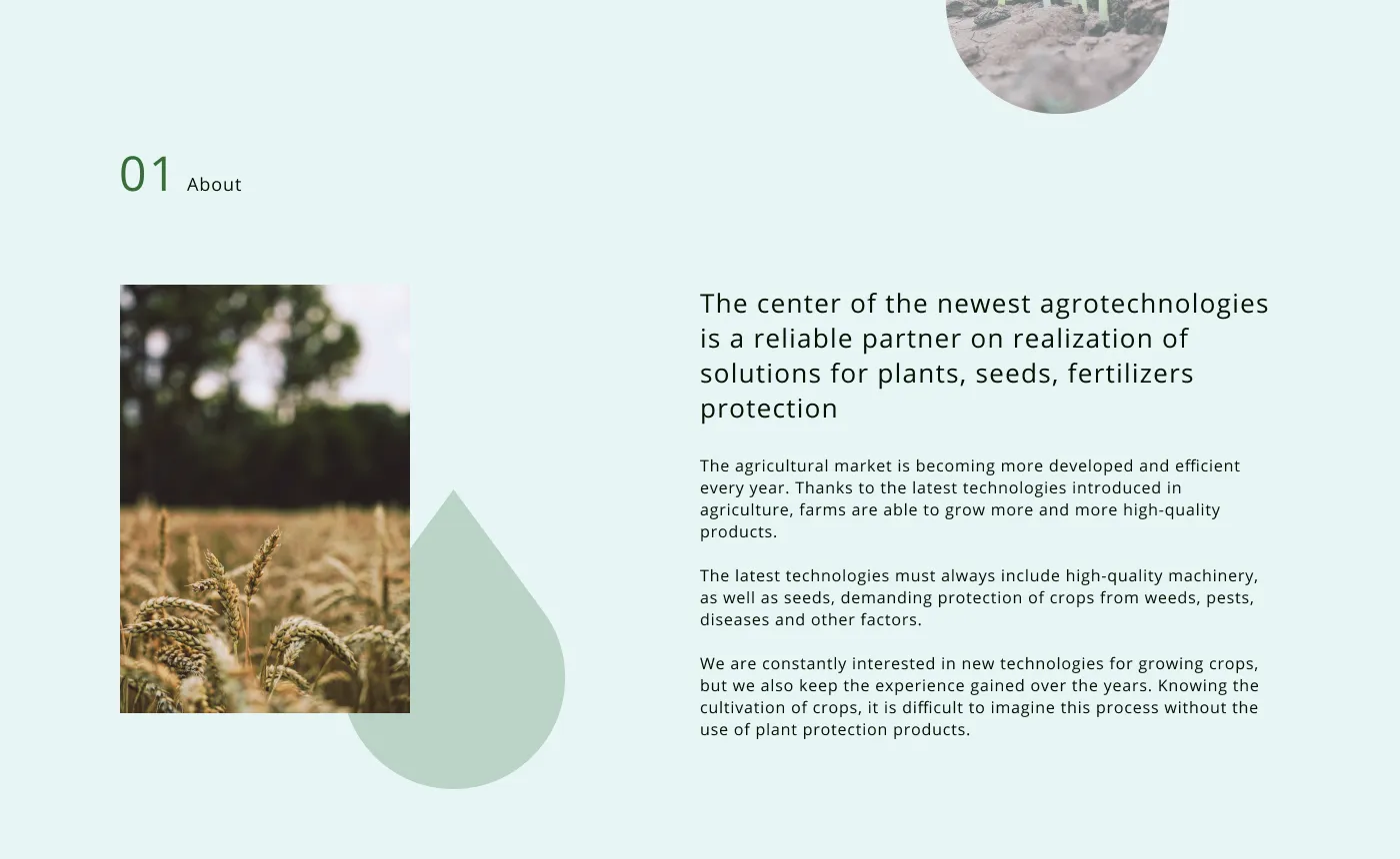 previev image for portfolio as index by 0