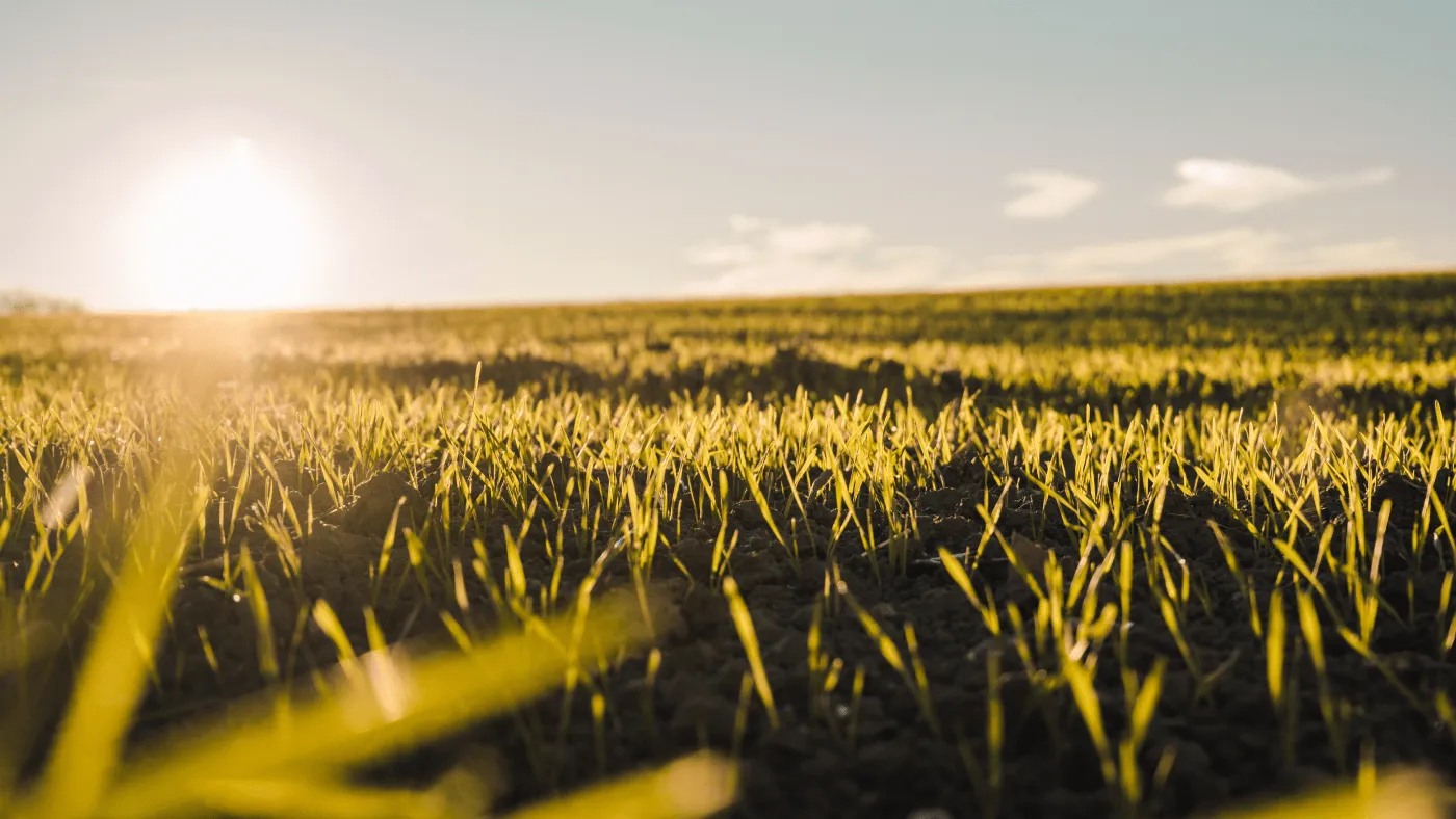 previev image for portfolio as index by 4