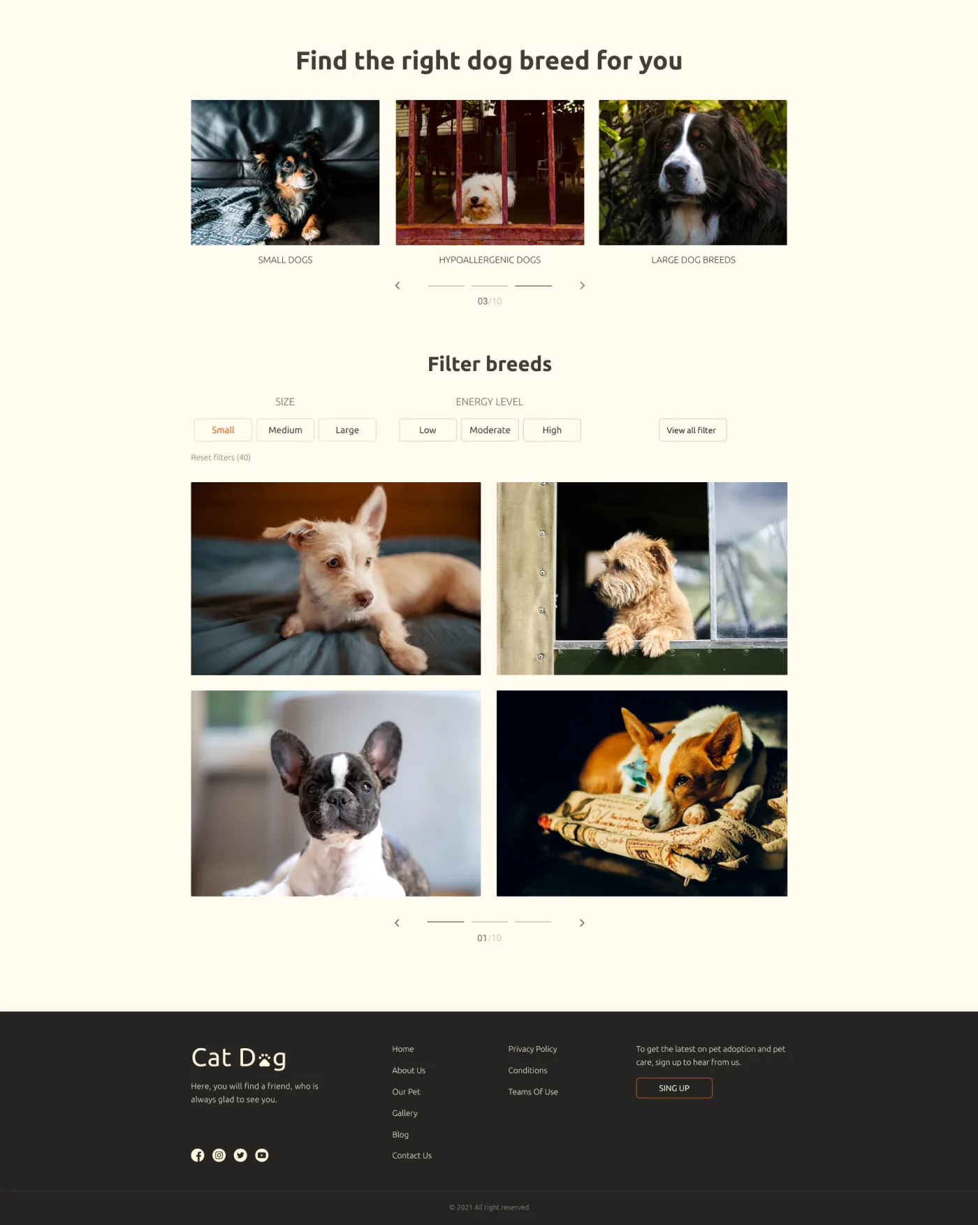 previev image for portfolio as index by 9