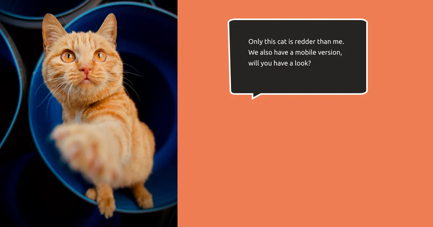 previev image for portfolio as index by 10