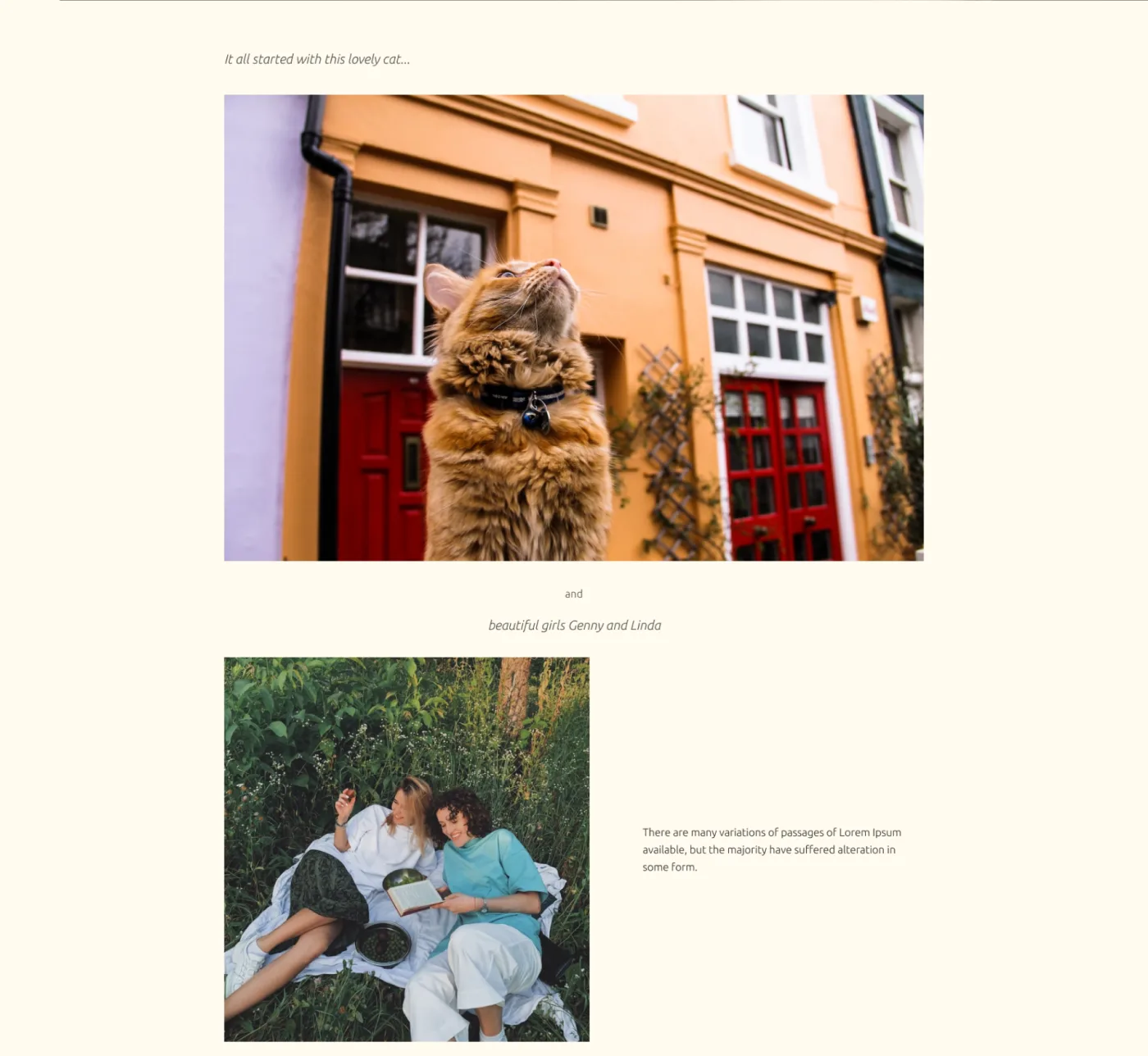 previev image for portfolio as index by 6