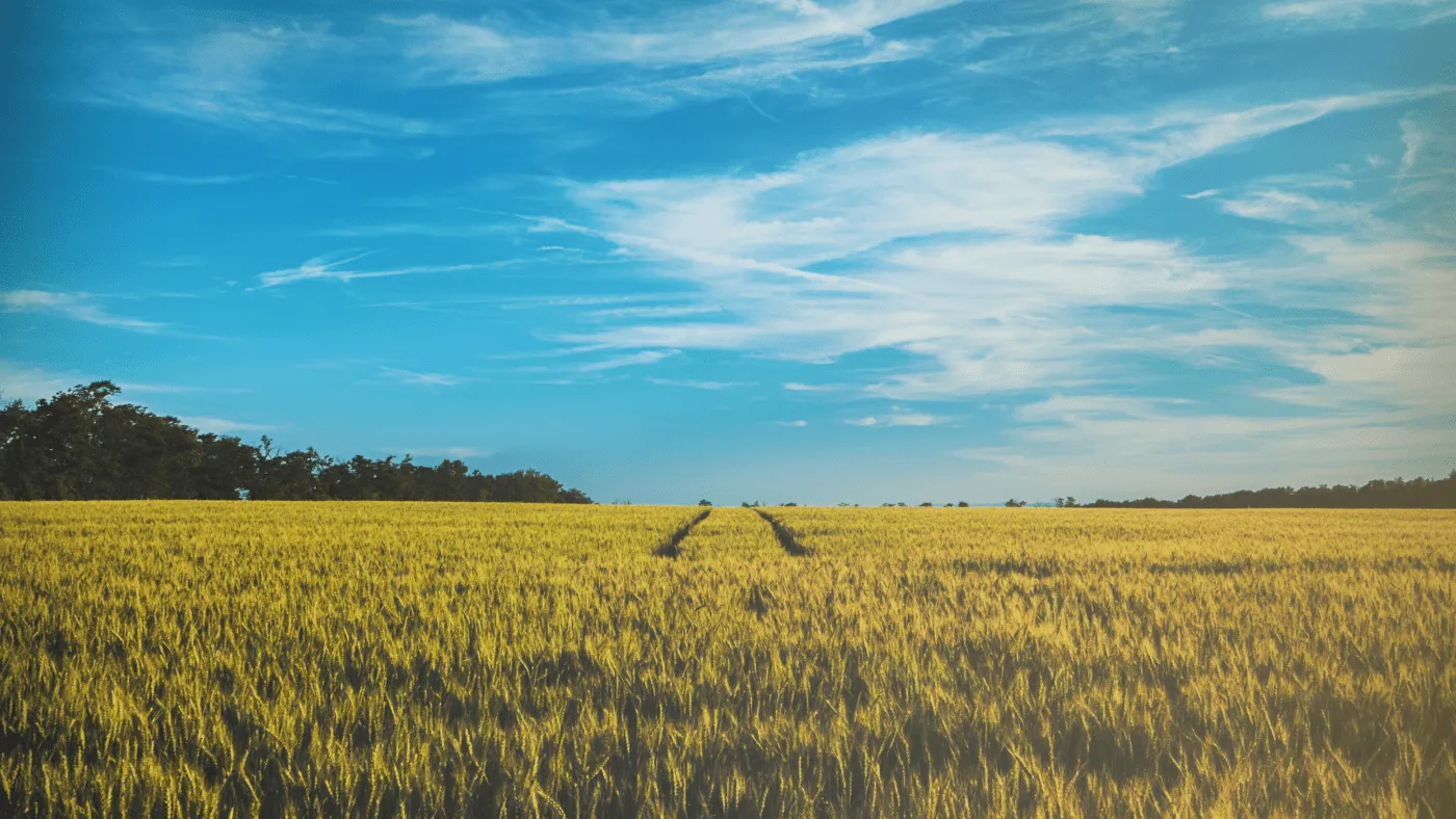 previev image for portfolio as index by 1