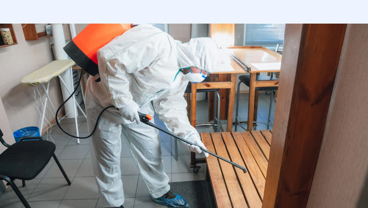 previev image for portfolio as index by 4