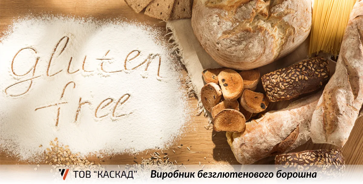 previev image for portfolio as index by 0